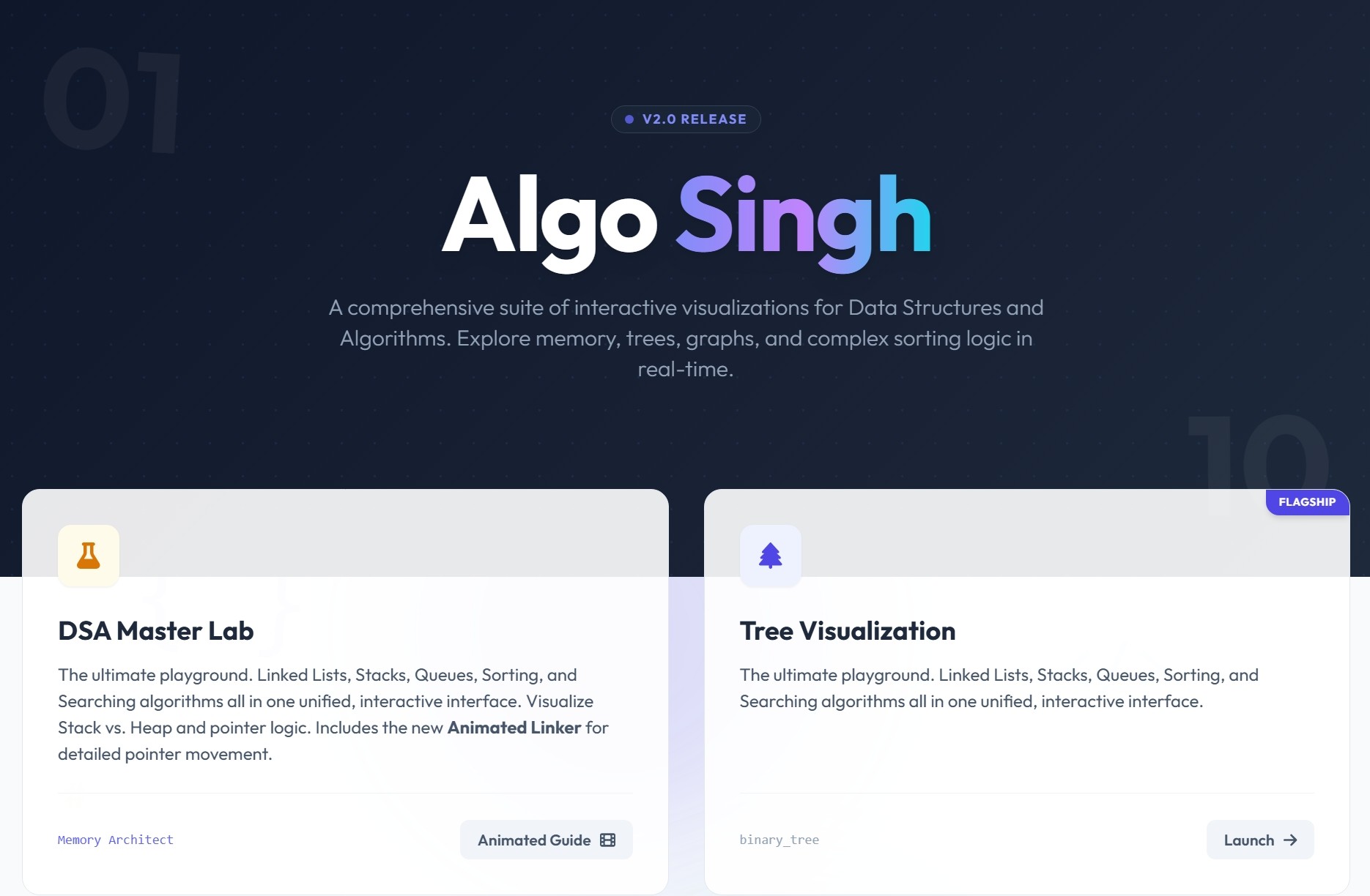 Algo Singh Algorithm Visualization Project